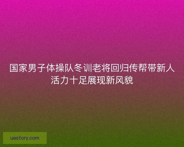 国家男子体操队冬训老将回归传帮带新人活力十足展现新风貌